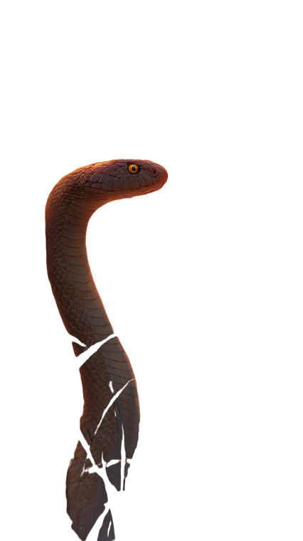 Mystical Cobra Sunset Vinyl Car Decal Sticker – Waterproof & UV-Resistant 