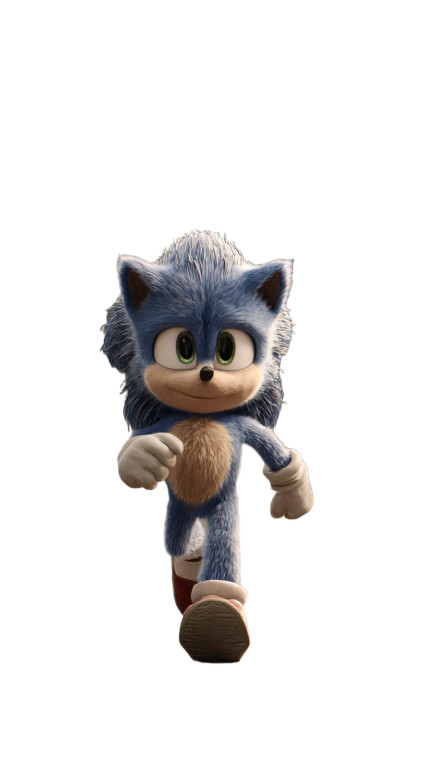 Sonic Running V14 Vinyl Car Decal Sticker – Waterproof & UV-Resistant 
