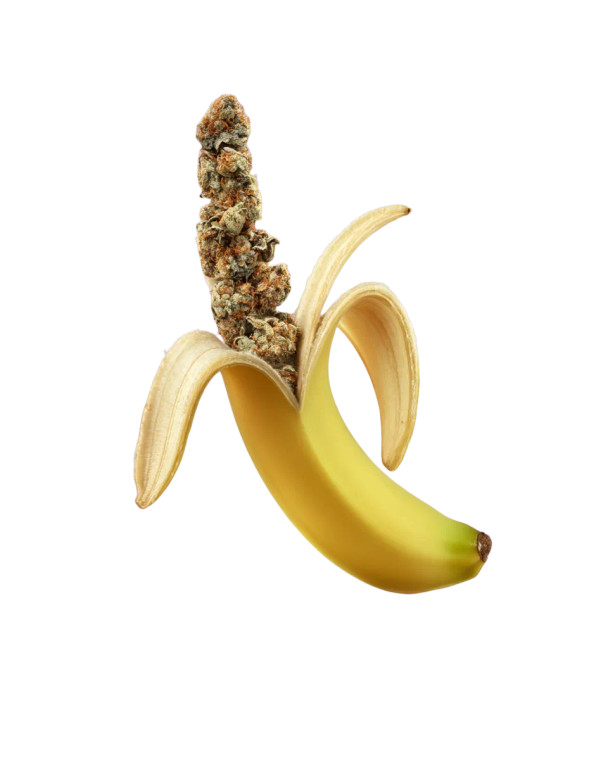Banana With Buds Vinyl Car Decal Sticker – Waterproof & UV-Resistant 