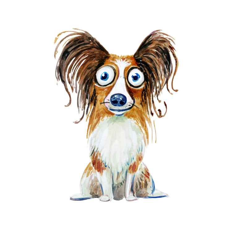 Cartoon Papillon Dog Vinyl Car Decal Sticker – Waterproof & UV-Resistant  Cartoon Papillon Dog Vinyl Car Decal Sticker – Waterproof & UV-Resistant