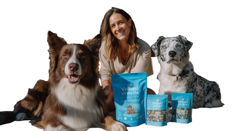 Dogs On Porch Vinyl Car Decal Sticker – Waterproof & UV-Resistant 