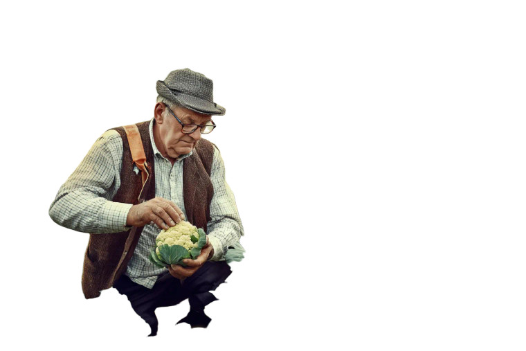 Old Vegetable Farmer Vinyl Car Decal Sticker – Waterproof & UV-Resistant 