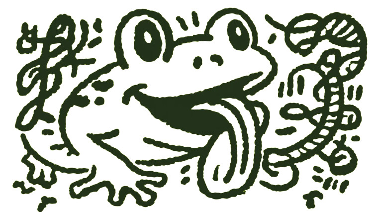 Friendly Ribbon Tongue Frog Vinyl Car Decal Sticker – Waterproof & UV-Resistant 