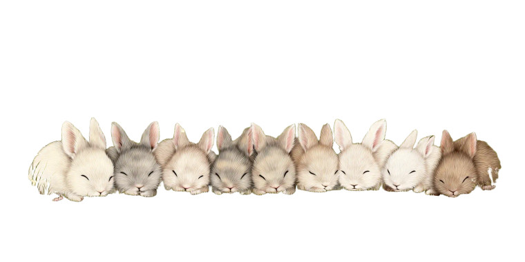 Sleeping Baby Bunnies Vinyl Car Decal Sticker – Waterproof & UV-Resistant 