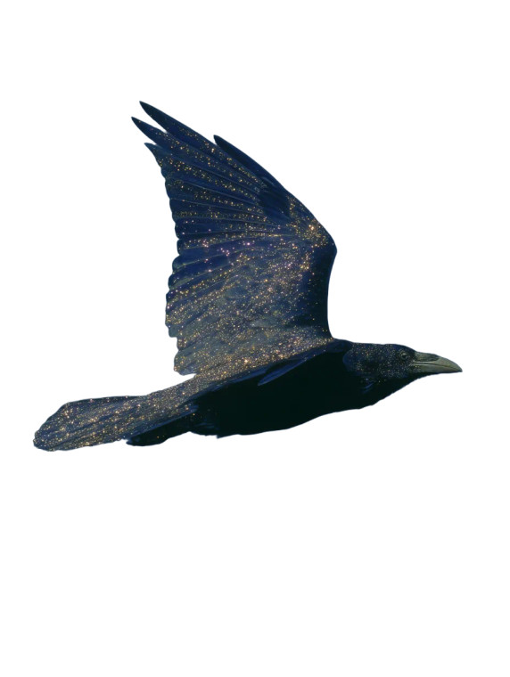 Rune Raven Vinyl Car Decal Sticker – Waterproof & UV-Resistant 