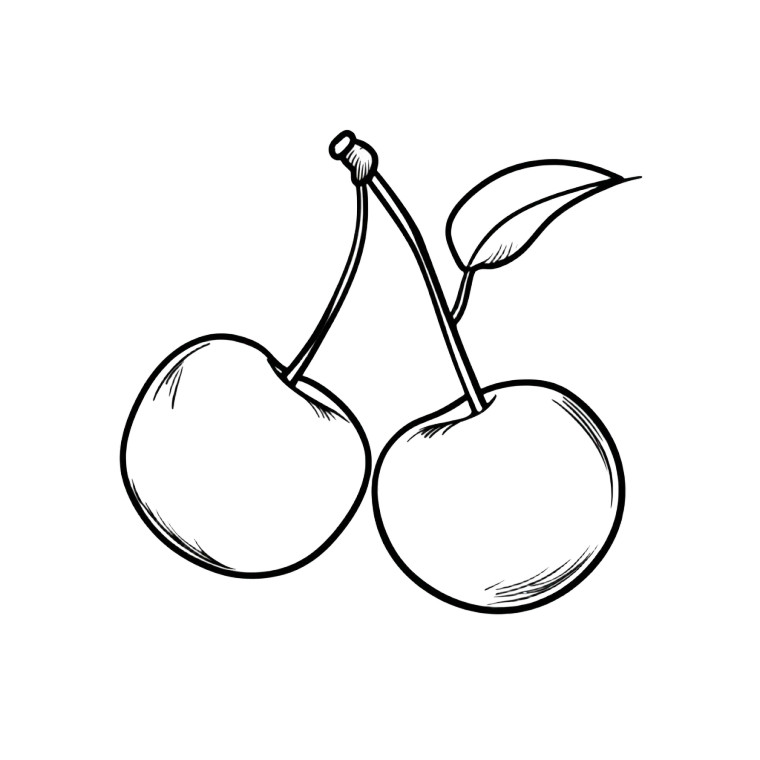 Cherries Line Drawing Vinyl Car Decal Sticker – Waterproof & UV-Resistant 