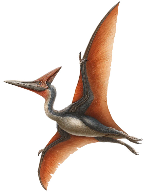 Pteranodon Sailing Vinyl Car Decal Sticker – Waterproof & UV-Resistant 