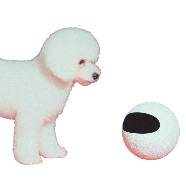 Maltese And Ai Robot Vinyl Car Decal Sticker – Waterproof & UV-Resistant 