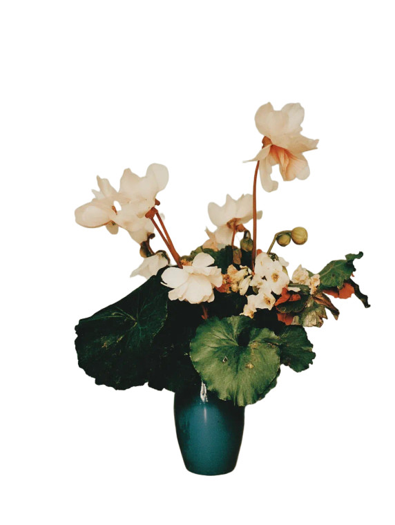 Floral Still Life V3 Vinyl Car Decal Sticker – Waterproof & UV-Resistant 