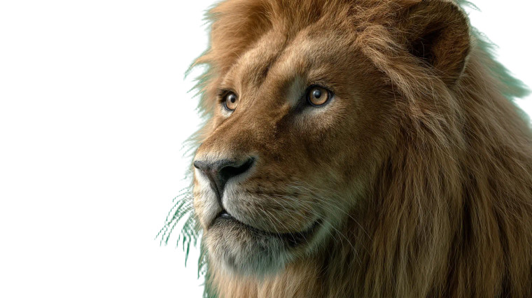 Lion V4 Vinyl Car Decal Sticker – Waterproof & UV-Resistant 