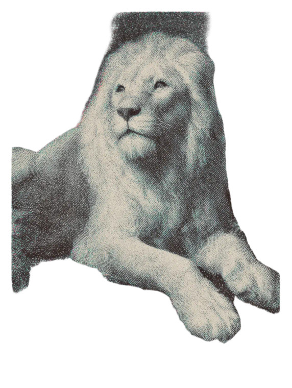 Cosmic Lion Vinyl Car Decal Sticker – Waterproof & UV-Resistant 