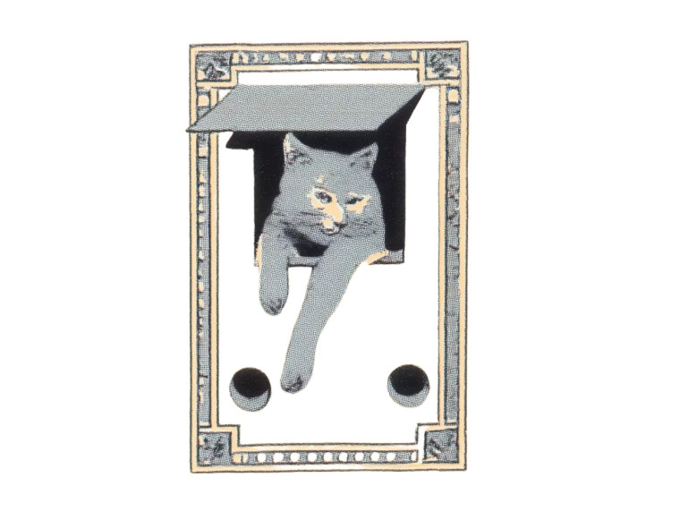 Schrödinger'S Cat V2 Vinyl Car Decal Sticker – Waterproof & UV-Resistant 