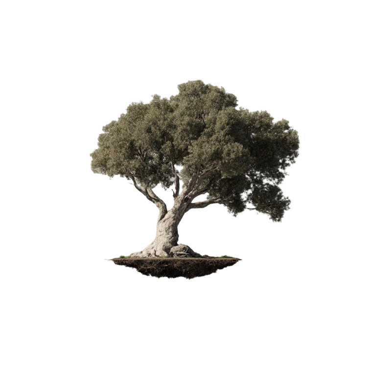 Floating Tree Vinyl Car Decal Sticker – Waterproof & UV-Resistant 