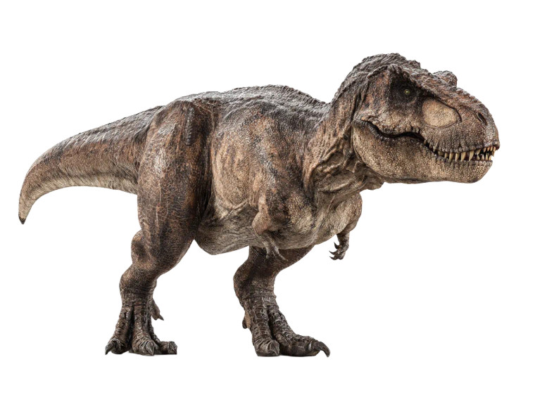 Realistic T-Rex V4 Vinyl Car Decal Sticker – Waterproof & UV-Resistant 