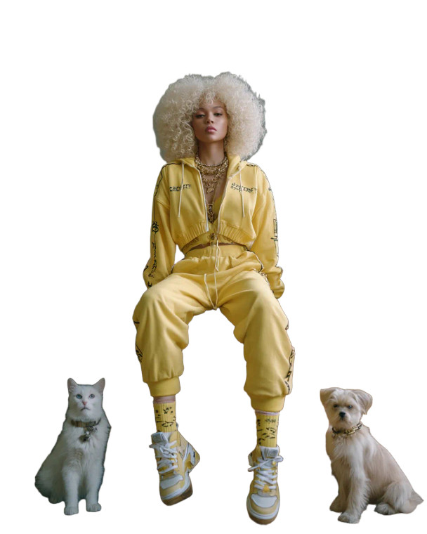 Eccentric Fashionista V2 Vinyl Car Decal Sticker – Waterproof & UV-Resistant 