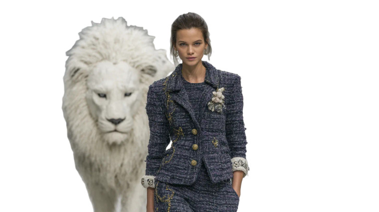 Fashion Show Lion V4 Vinyl Car Decal Sticker – Waterproof & UV-Resistant 