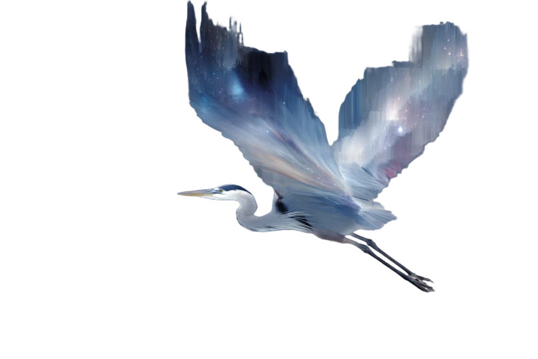 Enormous Heron Flight V2 Vinyl Car Decal Sticker – Waterproof & UV-Resistant 
