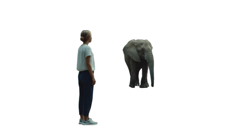 Elephant Encounter Vinyl Car Decal Sticker – Waterproof & UV-Resistant 