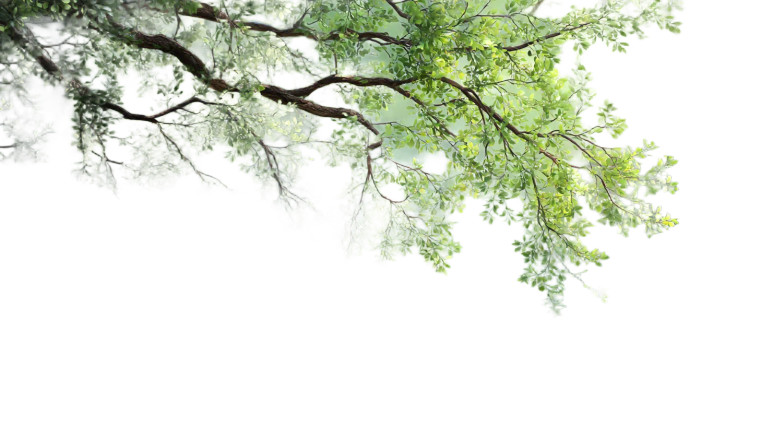 Lush Green Branch Vinyl Car Decal Sticker – Waterproof & UV-Resistant 