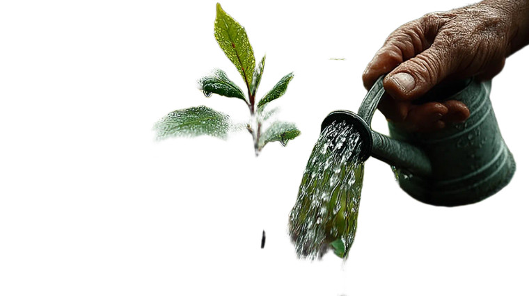 Watering Young Plant Vinyl Car Decal Sticker – Waterproof & UV-Resistant 