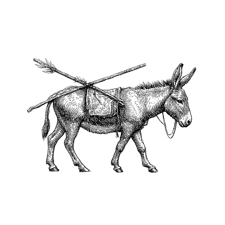 Donkey With Carrot V2 Vinyl Car Decal Sticker – Waterproof & UV-Resistant 