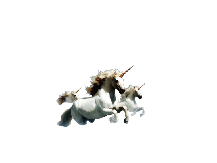 Galloping Unicorns Vinyl Car Decal Sticker – Waterproof & UV-Resistant 