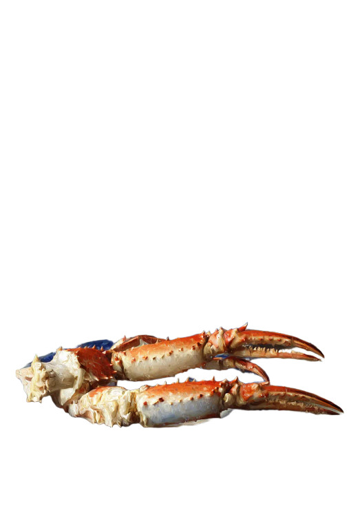 Stone Crabs Still Life Vinyl Car Decal Sticker – Waterproof & UV-Resistant 