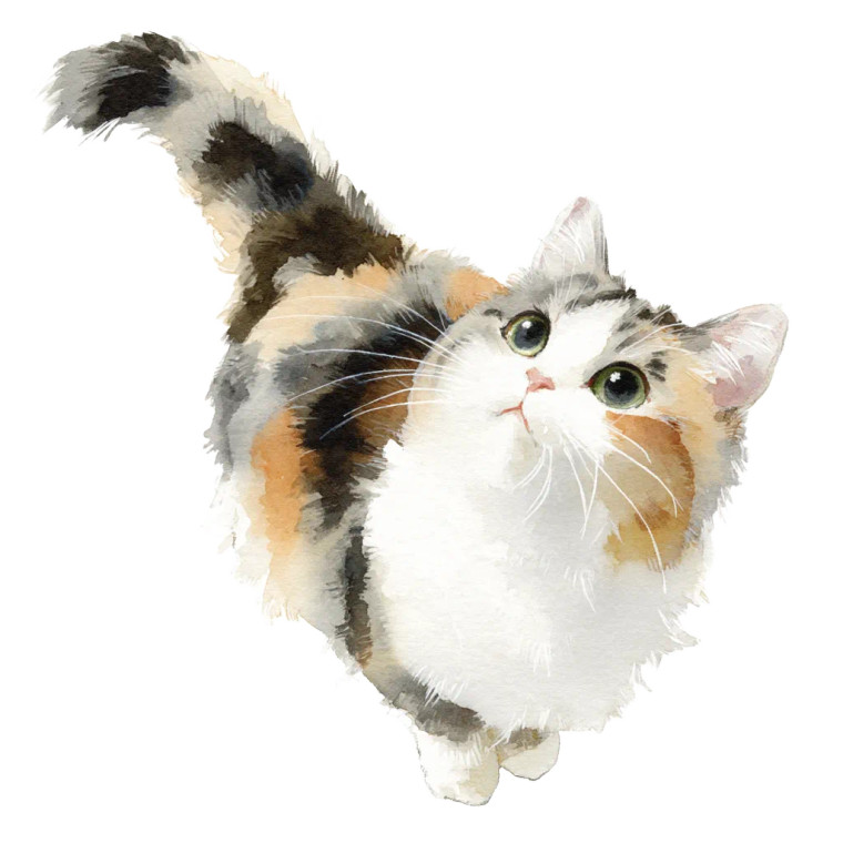 Reflective Pose Cat V2 Vinyl Car Decal Sticker – Waterproof & UV-Resistant  Reflective Pose Cat V2 Vinyl Car Decal Sticker – Waterproof & UV-Resistant