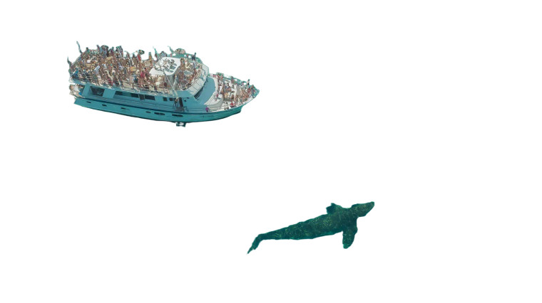 Yacht With Plesiosaur Vinyl Car Decal Sticker – Waterproof & UV-Resistant 