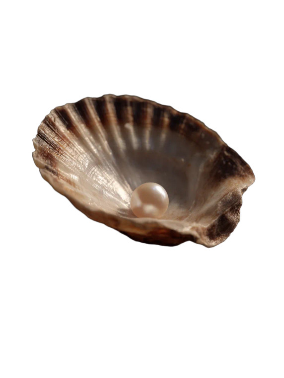 Pearl-Like Seashell Vinyl Car Decal Sticker – Waterproof & UV-Resistant 