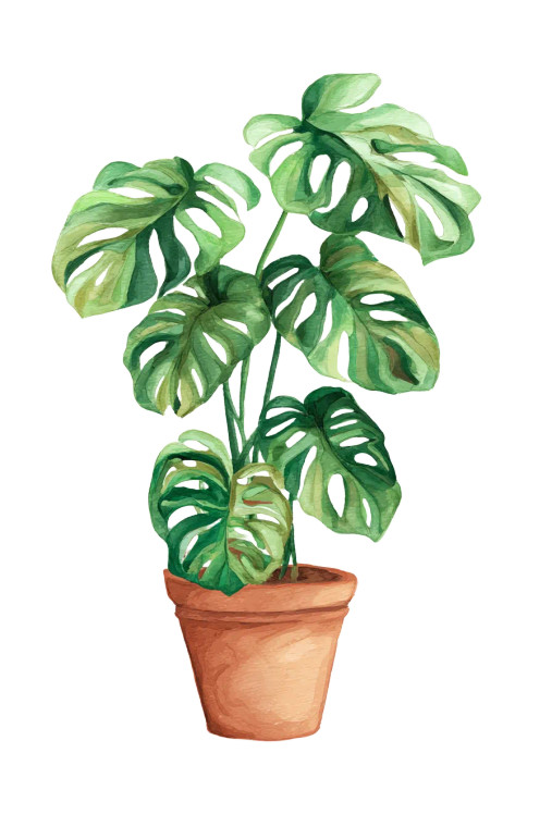 Potted Monstera Vinyl Car Decal Sticker – Waterproof & UV-Resistant 