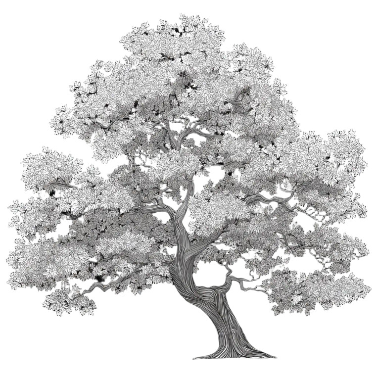 Maple Tree Drawing Vinyl Car Decal Sticker – Waterproof & UV-Resistant 