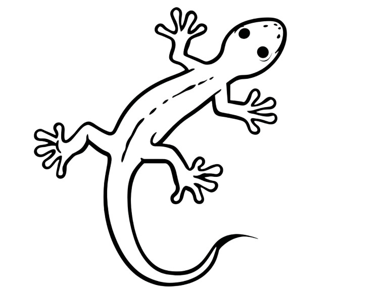 Simple Gecko Drawing Vinyl Car Decal Sticker – Waterproof & UV-Resistant 