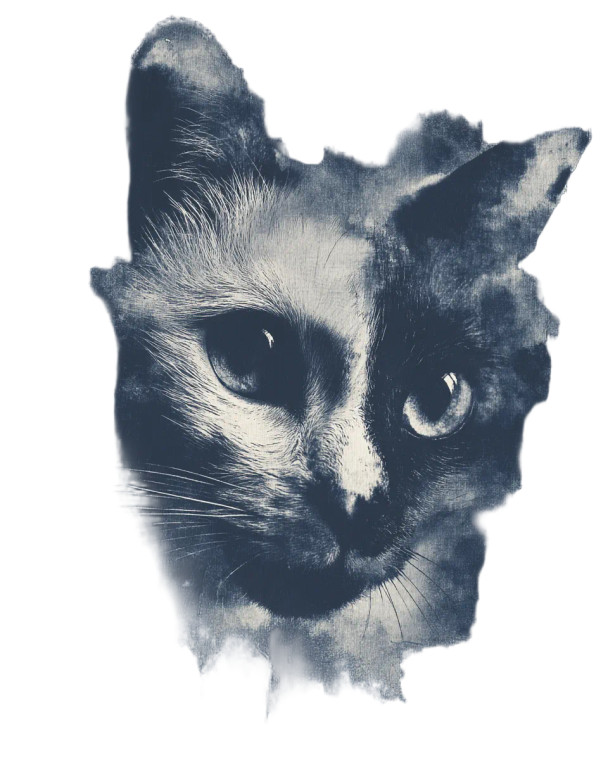 Cyanotype Cat V2 Vinyl Car Decal Sticker – Waterproof & UV-Resistant 