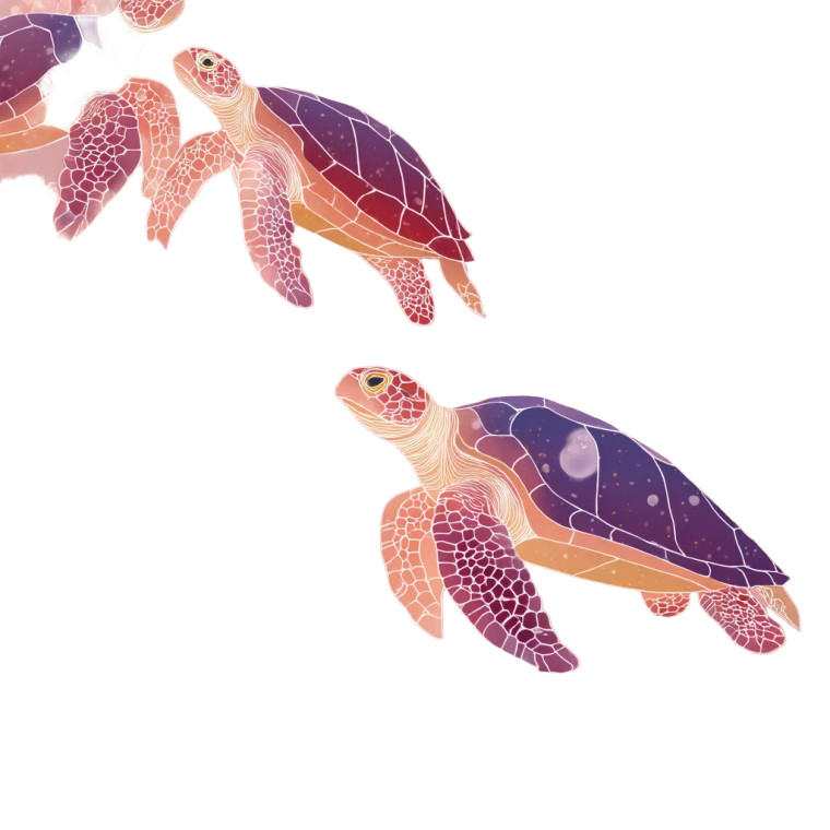 Floral Sea Turtles Vinyl Car Decal Sticker – Waterproof & UV-Resistant 