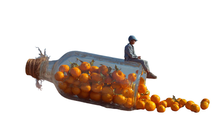 Giant Bottle Oranges Vinyl Car Decal Sticker – Waterproof & UV-Resistant 