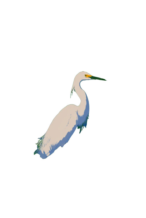 White Egret Marsh Vinyl Car Decal Sticker – Waterproof & UV-Resistant 