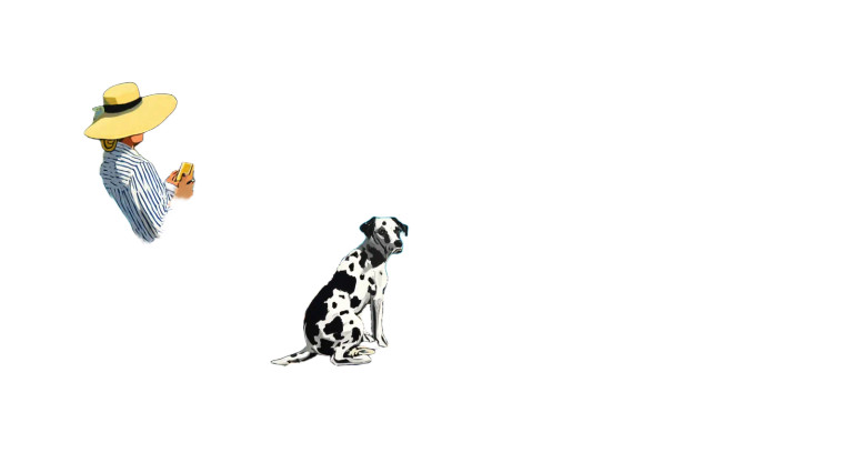 Poolside Leisure V3 Vinyl Car Decal Sticker – Waterproof & UV-Resistant 