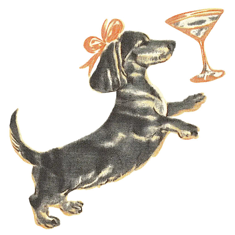 Vintage Dachshund Illustration Vinyl Car Decal Sticker – Waterproof & UV-Resistant 