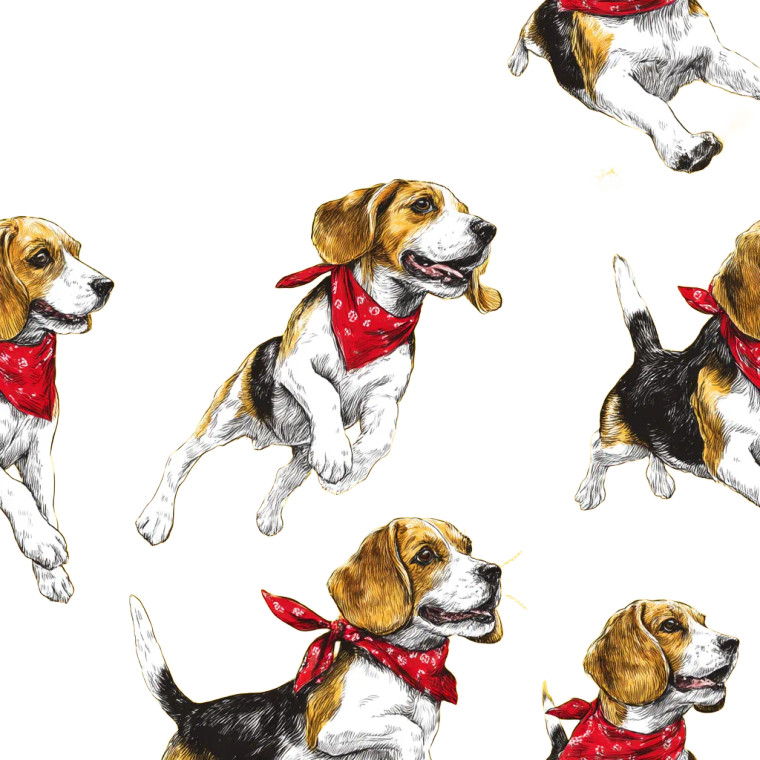Beagles With Bandanas Vinyl Car Decal Sticker – Waterproof & UV-Resistant 