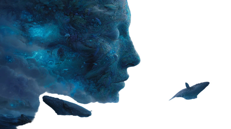 Gigantic Ocean Face Vinyl Car Decal Sticker – Waterproof & UV-Resistant 