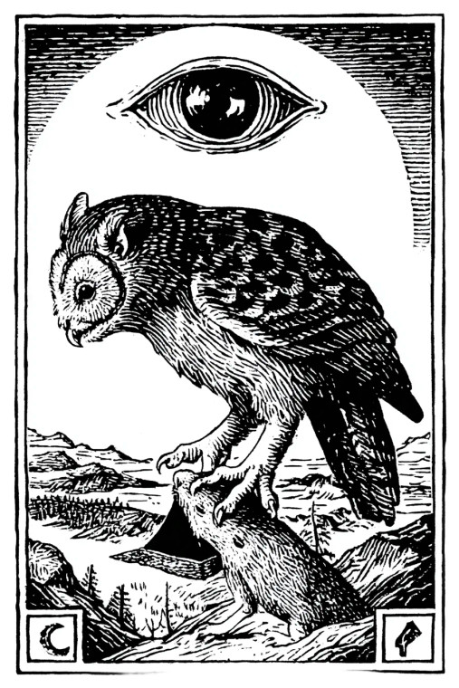 Medieval Mouse Owl Vinyl Car Decal Sticker – Waterproof & UV-Resistant 