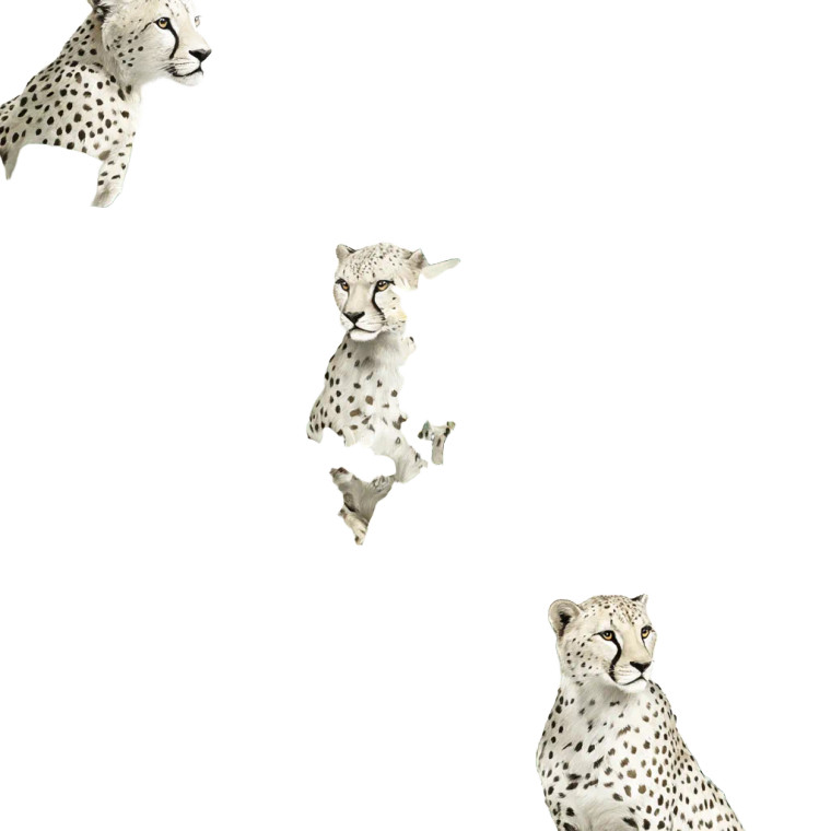 Playful Cheetahs Pattern Vinyl Car Decal Sticker – Waterproof & UV-Resistant 