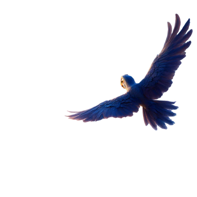 Pixar Bird Flying Vinyl Car Decal Sticker – Waterproof & UV-Resistant 