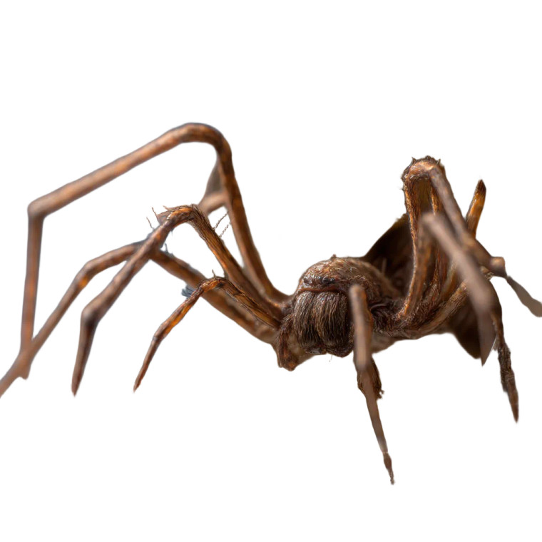 Giant Spider Chase V2 Vinyl Car Decal Sticker – Waterproof & UV-Resistant 