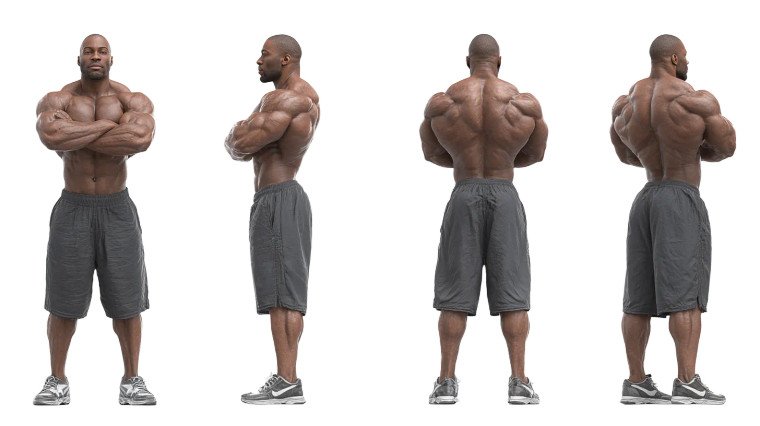 Muscled Male Torso Vinyl Car Decal Sticker – Waterproof & UV-Resistant 