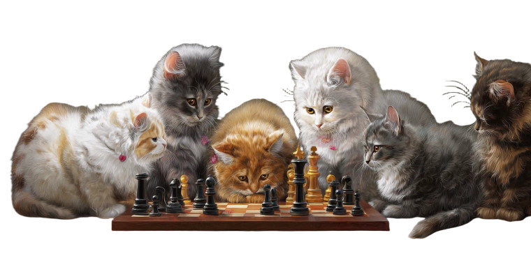 Blundercats Chess Vinyl Car Decal Sticker – Waterproof & UV-Resistant 