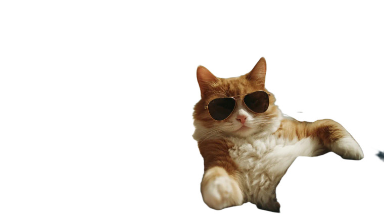 Sunbathing Cat V3 Vinyl Car Decal Sticker – Waterproof & UV-Resistant 