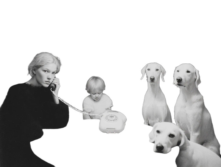 Surreal Domestic Scene Vinyl Car Decal Sticker – Waterproof & UV-Resistant 