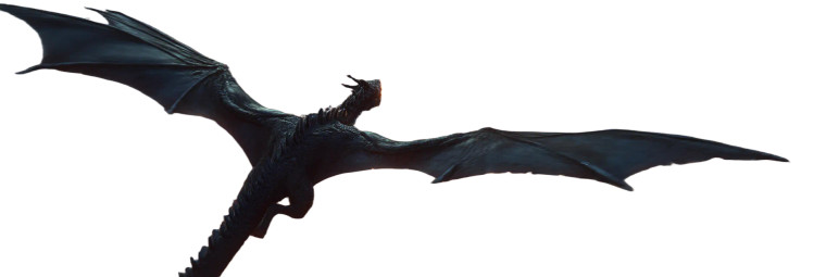 Obsidian Black Dragon Vinyl Car Decal Sticker – Waterproof & UV-Resistant 